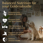 Multivitamins, Balanced Nutrition for Your Goldendoodle, 90 Count, Made in the USA with Real Bacon