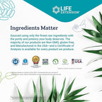 Life Extension 99mg Potassium with Extend-Release Magnesium 250mg, 100 Veg Caps (Pack of 2) - Gluten-Free – Non-GMO – Vegetarian Supplement for Men and Women - Dual-Action Mineral Formula