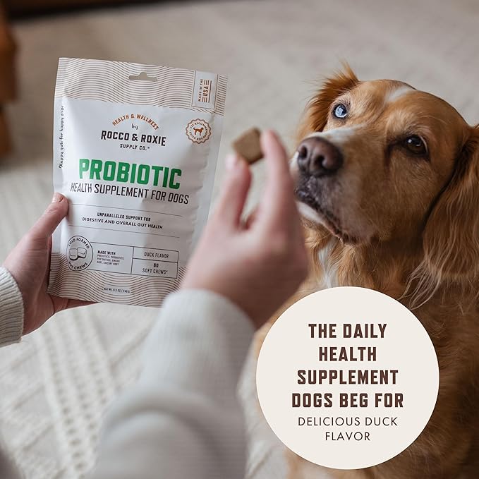 Rocco & Roxie Probiotics for Dogs, Support Gut and Digestive Health, Anti Diarrhea, Constipation & Gas Relief, Allergies, & Itchy Skin, Prebiotics, Enzymes, Puppy to Senior Dog Supplements Chews 60ct