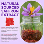 Saffron Gummies for Kids & Adults, 10-in-1 Cortisol Supplement with Saffron 88.5mg, Vitamin D3, B6, Magnesium, Zinc, Ashwagandha, L-Theanine, St. John's Wort, for Emotions, Zzz, 60 Count