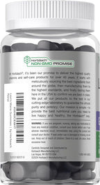 Horbäach Lion's Mane Supplement | 60 Vegan Gummies for Adults | Non-GMO and Gluten Free