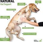 Deley Naturals Dog Probiotic Chews - 4 Billion CFU Probiotics for Dogs with Digestive Enzymes & Prebiotics - Grain Free Soft Chews for Gut Health & Digestive Support - 120 Chicken Chews Made in USA