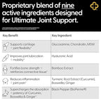 Glucosamine Chondroitin MSM All-in-One Joint Support Supplement Turmeric, Hyaluronic Acid, Boswellia, Ginger Root, Bamboo, BioPerine, Black Pepper, Supports Joint Health & Flexibility 90 Count