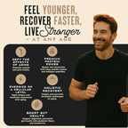 WILD SOCIETY Longevity Shake - Anti Aging Supplement - Protein Powder for Muscle Retention & Recovery, with Whey Isolate, Collagen & Creatine | Cacao Royale, 15 Servings