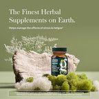 Gaia Herbs Stress Response Supplements - Supports Relaxation & Healthy Stress Response* - with Rhodiola, Holy Basil, Ashwagandha & More - 30 Vegan Liquid Phyto-Caps (15 Servings)