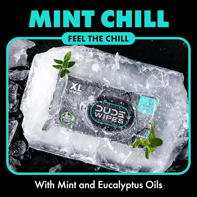 DUDE Wipes Mint Chill Flushable Wipes - Extra-Large Adult Wet Wipes - 1 Pack (48 Count), Travel Pack - Infused with Tea Tree Oil, Vitamin E, and Aloe - Septic and Sewer Safe