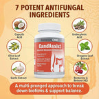 Balance ONE Candida Cleanse & Yeast Support Complex – Caprylic Acid, Undecylenic Acid, Berberine & Oregano Leaf – Gut Flora Balance for Women & Men – 90 Delayed Release Capsules – CandAssist