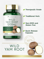 Carlyle Wild Yam Root Capsules | 200 Count | Non-GMO, Gluten Free | Traditional Herb Extract