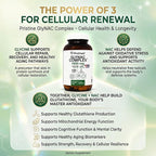PRISTINE'S Supplement GlyNAC Complex Large Size Tablet 1600MG Glutathione Production - 3rd Party Tested Anti Aging, Sleep & Cognitive Support - Glycine & NAC Gluten Free Non GMO USA Made Glass Bottle