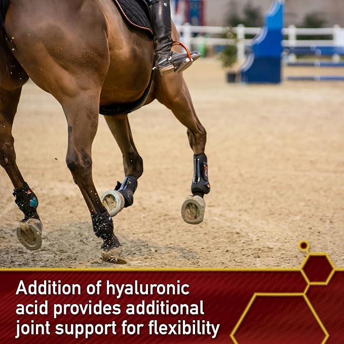 Vita Flex Pro Equinyl Formula with Hyaluronic Acid, Horse Joint Supplement, 3.75 Pounds, 60-Day Supply