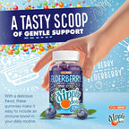Dippin' Dots - Sambucus Elderberry + Vitamin C + Zinc Immune Support Gummies - Black Elderberry Gummies for Adults & Kids, Gelatin Free Gluten Free Immune Support Supplement for Women & Men (60 Count)