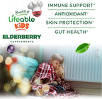 Lifeable Sugar Free Elderberry Gummies for Kids with Vitamin C and Zinc | Kids Immune Support Supplement | Great Tasting Elderberry Gummies | Vegan, Non GMO, Kosher Gluten Free | 60 Gummies