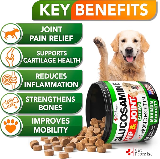 Glucosamine for Dogs - Hip and Joint Supplement for Dogs - Glucosamine Chondroitin - Joint Pain Relief Pills - MSM - Advanced Health Support Supplement - 170 Mobility Chews - Made in USA