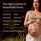 Needed. Prenatal Multivitamin with Citrus Scent Insert - Complete Prenatal Multi for Before, During, & After Pregnancy - 26 Optimal Nutrients Including Choline, Vitamin B, & Folate - 30 Day Supply