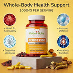 Kaibro Nutra Berberine Supplement 1000mg, Berberine HCL for Immune System, Glucose Support, Circulatory & Gastrointestinal Health, Vegan & Gluten-Free, 120 Capsules
