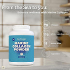 Zen Principle Marine Collagen Peptides Powder 3 lb. Wild-Caught Fish, Non-GMO. Supports Healthy Skin, Hair, Joints and Bones.Hydrolyzed Types I, II, III, and IV Protein. Amino Acids. Easy to Mix.