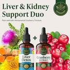 HERBAMAMA Liver Detox Liquid Drops - Vegan Liver Support with Milk Thistle, Dandelion Root, Chanca Piedra & Turmeric Tincture - Non-GMO, Alcohol & Sugar-Free Supplement - 84-Day Supply