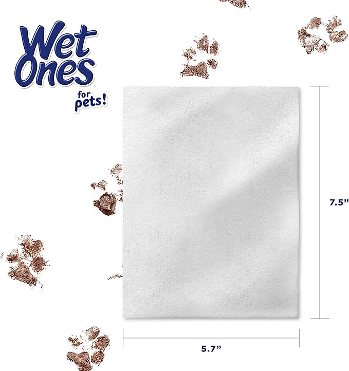 Wet Ones for Pets Antibacterial Dog Wipes, Multi-Purpose Grooming Wipes with Aloe Vera for Paws, Face & Body, Easy Cleanups Between Baths, Tropical Splash Scent, 5.7 in x 7.5 in, 50 Count - 12 Pack