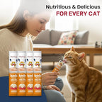 Cat Treats Lickable | Grain-Free Cat Food Toppers & Salmon Treats | Creamy Puree Squeeze Ups with Vitamin E & Taurine, Digestible Formula | 0.5 oz. Each Tube, Salmon Flavor | 10 Tubes
