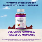 Vitamatic Stress Relief Gummies with GABA, L-Theanine, Lemon Balm – Lemon & Mixed Berry Flavor – 60 Gummies – Vegan, Non-GMO, Gluten-Free