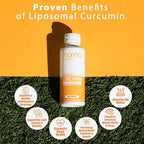 Manna Vitamins Evolved Liposomal Liquid Curcumin for Advanced Absorption Best Turmeric Supplement for Daily Joint & Immune Health Support - Vegan, Non-GMO, 95% Curcuminoids (3 Pack)