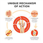 Innovation in The Care of Healthy Joints – Liquid Formula in a Double Capsule. 3D Collagen + Micelle Extract of Turmeric Roots 1 Capsule/Day. Laboratory Tested