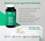 A dose of Digestive Balance-Gut Health Supplement-USDA-Kombucha, 7 Probiotic Strains and Prebiotics for Microbiome-Digestive Enzymes for Digestion-Bloating Relief for Women and Men (60 Count)