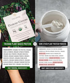 Truvani Protein + Greens Supplement | Spinach, Kale & Broccoli | 10g Organic Plant Based Protein | 20 Servings | USDA Organic | Gluten & Dairy Free | Vegan | No Added Sugar