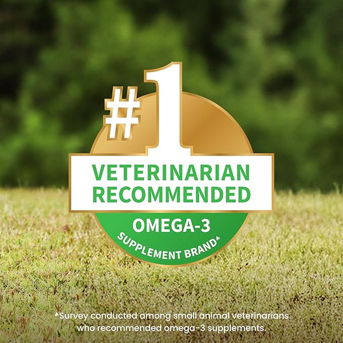 Nutramax Welactin Omega 3 Fish Oil for Dogs,Skin and Coat Health Supplement,Plus Joint,Immune,Kidney,and Brain Support,Premium Omega 3 Fatty Acids,for Dogs,16 Ounce Liquid,(Pack of 2)
