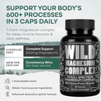 Wild Foods Magnesium Complex Supplement with 7X Forms | High Absorption, Full Spectrum, Easy Digestion | 500mg Glycinate, Bisglycinate, Malate, Orotate, Citrate, Taurate | 90 Capsule (Pack of 3)