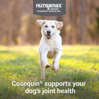 Nutramax Cosequin for Dogs Joint Health Supplement, Contains Glucosamine, Plus Chondroitin, MSM and Omega-3s, Supports Joint and Skin and Coat Health, Soft Chews, 120 Count