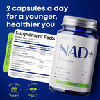 NAD+ Supplement with Nicotinamide Riboside, Trans Resveratrol & Quercetin – NAD Plus Complex for Energy, Brain & Mitochondrial Support – Antioxidant and Longevity Formula for Women & Men – 60 capsules