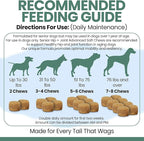 Chew + Heal Labs Glucosamine for Dogs Hip and Joint Supplement - 120 Senior Dogs Mobility Soft Chews - Made with Glucosamine, MSM, Chondroitin, Green Lipped Mussels and More - Made in The USA