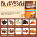 Mushroom Gummies with Ashwagandha 2500mg Lions Mane Mushroom Supplement Blend Organic Reishi, Cordyceps,Turkey Tail & More, Boosts Energy, Memory, Immune Defense- 80 Gummies