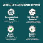 UpNourish Probiotics - 200 Billion CFUs for Men and Women, 15 Clinically Studied Strains, Prebiotics & Enzymes - 60 Vegan Capsules