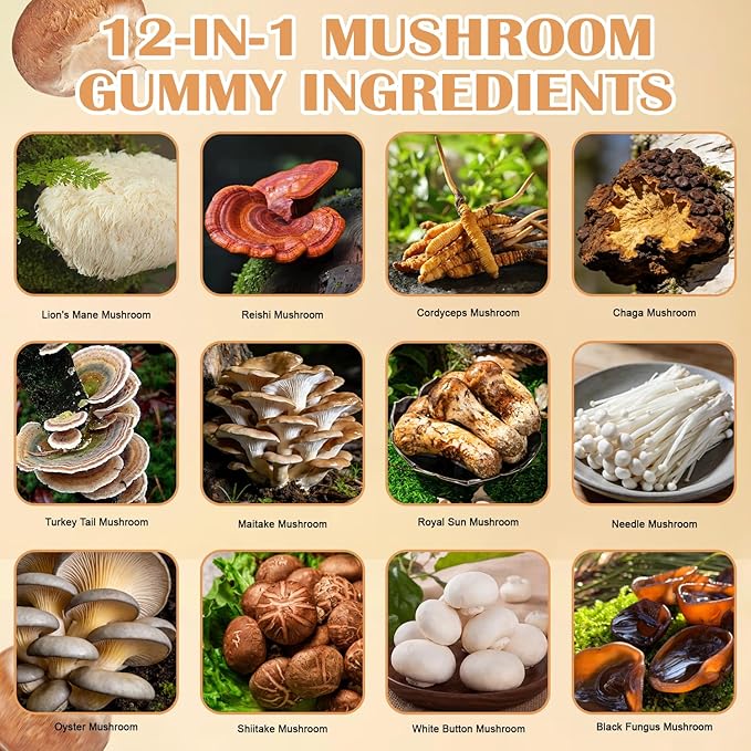 Lions Mane Mushroom Supplement Gummies - All-in-One Daily Mushroom Supplement Gummy, 12 Mushroom Blend Cordyceps, Chaga, Reishi, Herbal Brain Supplement for Cognitive, Memory & Focus,60 Gummies