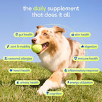 Native Pet The Daily Dog Vitamins & Supplements - 11-in-1 Multivitamin Powder for Dogs - Supports Whole Body Health, Digestion, Mobility & Immunity with Collagen, Glucosamine & Probiotics –120 Scoops