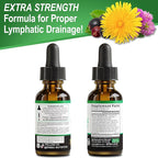 Lymphatic Drainage Supplements Drops - Organic Lymphatic Support Liquid Drops Cleanse with Echinacea, Lymph System Support Supplement, Lymph Node Detox Cleanse System Drainage - 1oz Non-GMO Organics