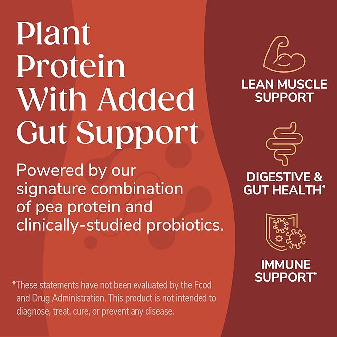 Wonderslim Protein Chips with Probiotics, BBQ | 12g Plant Protein, 170 Cal | High Protein Chips, Vegan, Gluten Free, Non-GMO | Made with Avocado Oil, No Seed Oils | 12 Pack