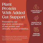 Wonderslim Protein Chips with Probiotics, BBQ | 12g Plant Protein, 170 Cal | High Protein Chips, Vegan, Gluten Free, Non-GMO | Made with Avocado Oil, No Seed Oils | 12 Pack