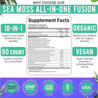 Adndale Sea Moss Capsules - Sea Moss Blend with Ashwagandha, Turmeric & Black Seed Oil - 90 Count