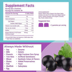 Hyland's Organic Elderberry Plus Gummies, Organic Black Elderberry with ZINC and Vitamin C, Immune Support Supplement for Adults, 60 Vegan Gummies (30 Days) (Pack of 2)