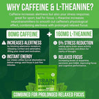 160mg L-Theanine + 80mg Caffeine Chews – Mint Matcha Flavour, Increases Productivity, Mental Clarity, Alertness | 1 Bag - 40 Servings | Brain Bullet | Energy Gum & Focus Gummy Upgrade