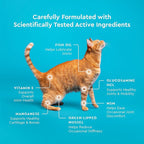 VetIQ Hip & Joint Supplement for Cats, Chicken Flavored Joint Health Supplement with Glucosamine and Green Lipped Mussel for Mobility and Arthritis Support, 3.7oz