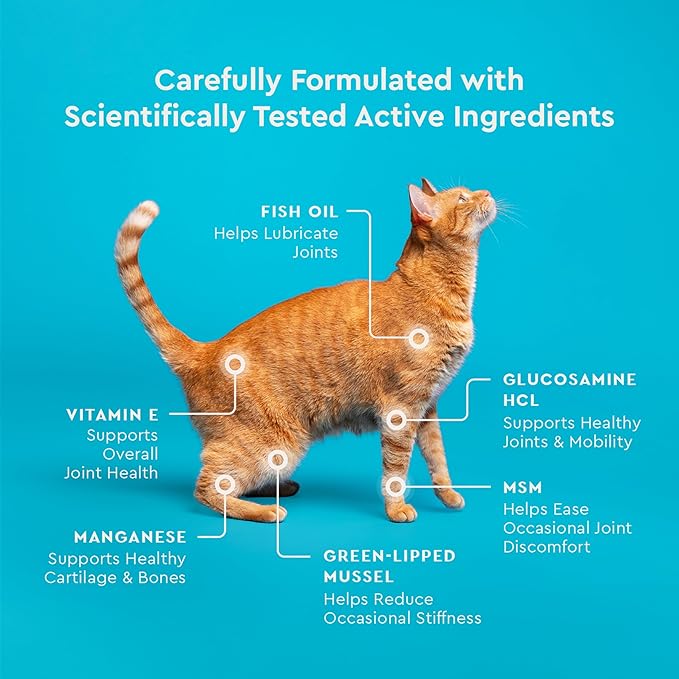 VetIQ Hip & Joint Supplement for Cats, Chicken Flavored Joint Health Supplement with Glucosamine and Green Lipped Mussel for Mobility and Arthritis Support, 3.7oz