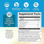 Yum-Vs - Zero Sugar Vitamin C Gummies for Adults & Kids - 250 mg VIT C Immune Support Gummy Vitamins - Sugar Free Chewable Vitamin C Gummy Supplement - High Potency Vegetarian Vitamin C Boost (60)