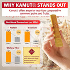 ILO Kamut Enzyme Complex – Digestive Health and Natural Metabolic Activation – Fermented Ancient Grains with Spicy Botanicals, 30 Sticks