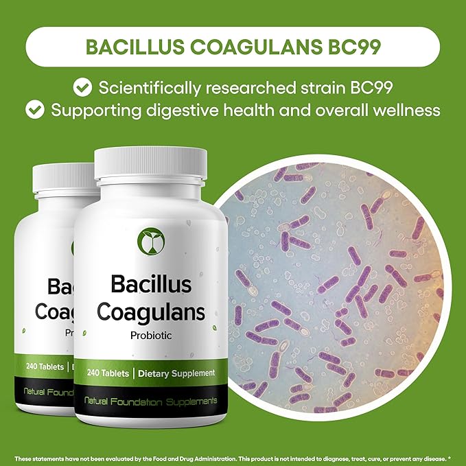 Natural Foundation Supplements Bacillus Coagulans Probiotic Supplement 240 Tablets 3 Billion CFU Probiotics for Men & Women Supports Intestinal Digestive & Gut Health (240, Bacillus Coagulans)