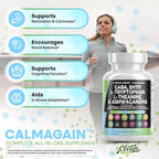 Clean Nutraceuticals GABA 750mg 5 HTP 200mg L Tryptophan 500mg L Theanine 200mg Ashwagandha SAM-e L-Glycine - Mood Support Vitamins for Women and Men with L-Tyrosine (90 Count (Pack of 3))
