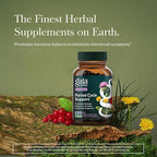 Gaia Herbs Period Cycle Support - Supports Hormone Balance & PMS Relief* - Herbal Supplement with Vitex Berry & Schisandra - Free from Gluten, Dairy & Soy - 60 Vegan Liquid Phyto-Caps (30 Servings)